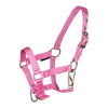FOAL HALTER  