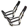 "Tasting Anatomic" Leather Headcollar