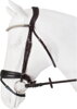 BRIDLE GIPSY