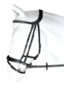 BRIDLE CROWN