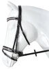 BRIDLE EVITA