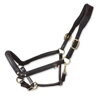 "Tasting Anatomic" Leather Headcollar