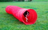 Agility tunel pre psov