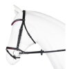 BRIDLE JOLLY ružovo čierna