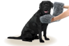 Royal Dry Towel For Dogs