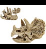 skull triceratops M 24x10x15cm