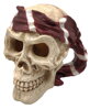  Skull Red pirate 15x13x14cm