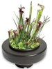 SuperFish POND  Plávajúci kvetináč 30cm