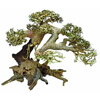 BONSAI DRIFTWOOD LARGE