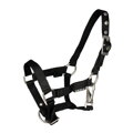FOAL HALTER  