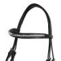 Horses Tasting Pro Bridle