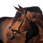 Horses Tasting Pro Bridle