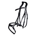 Bridle -Anatomic Sports