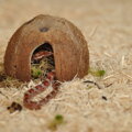 HABISTAT SNAKE BEDDING 10 L