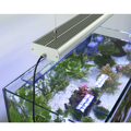 LED STAR - pre sladké akvárium 6 500 K - STAR30 1x30W