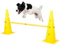 Pylonový prekážkový set Agility
