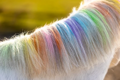 Dúhová krieda Lucky Horse Unicorn 6ks