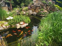 Realizácie záhradných jazierok