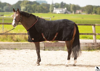 Fleece rug LouLou