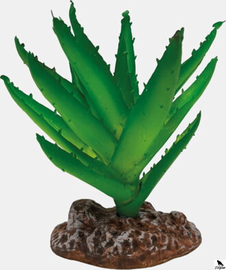 REPTO PLANT ALOE VERA.