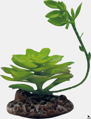 REPTO PLANT ECHEVERIA.