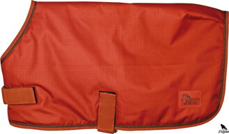 Dog rug WI22 chili