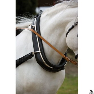 HH DRIVING COLLAR