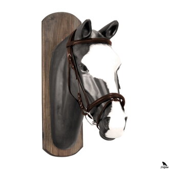 DERBY BRIDLE SHE hnedá