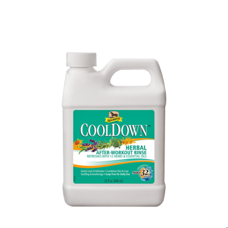 Absorbine Cool down, kanyster 946 ml