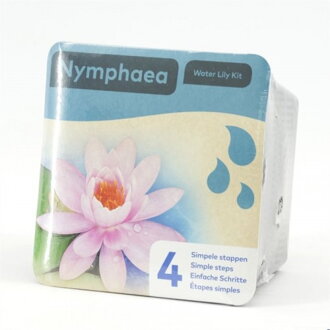 Nymphea dry blister Rose  H