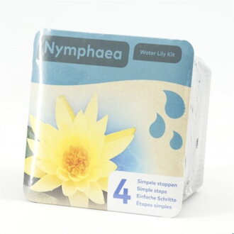 Nymphea dry blister Yellow H