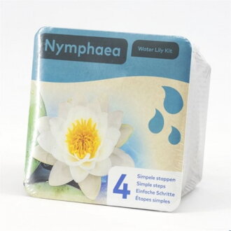 Nymphea dry blister White H