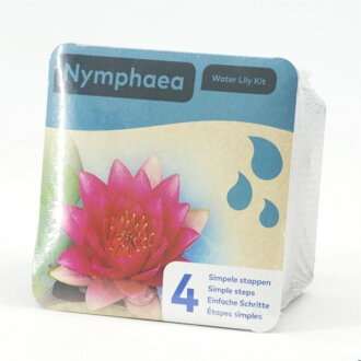 Nymphea dry blister Red  H