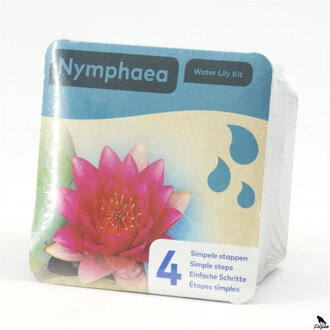 Nymphea dry blister Red  H