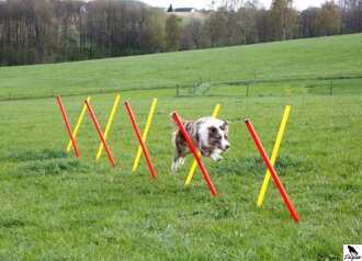 Complete Set Agility