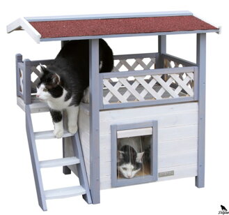 Cat House Lodge Ontario