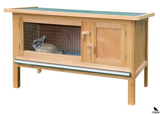 Rodent House Fred