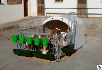 CalfHouse Premium XL s oplotením