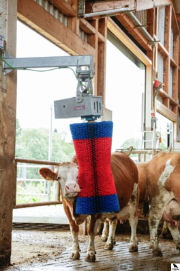 Kefa HAPPYCOW MaxiSwing