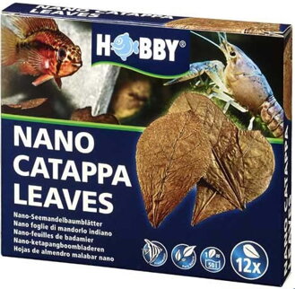 Nano Catappa Leaves 12ks.