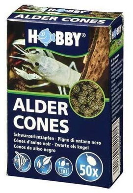 Alder Cones 50x