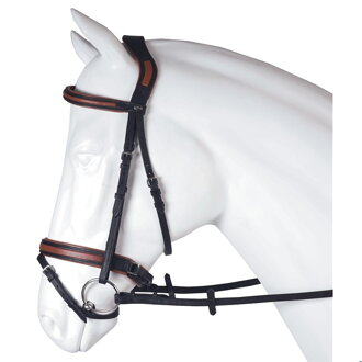 BRIDLE OUTDOOR