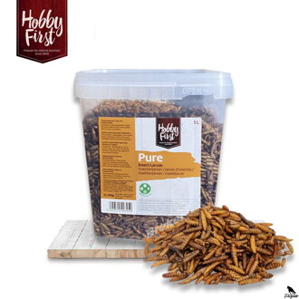 Insektenlarven - 5 L/ 650gr