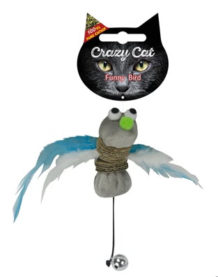 Crazy Cat Funny Bird