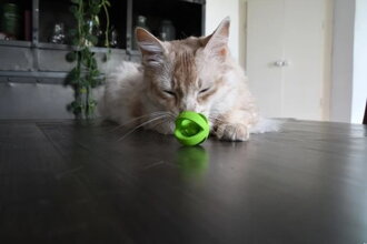 Crazy Cat Wacky Wobbler zelený