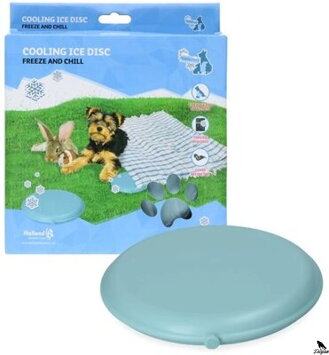 Chladiaci ľadový disk