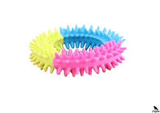 Rainbow World – Coronule M