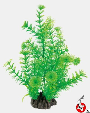 ART RASTLINA 25CM CABOMBA
