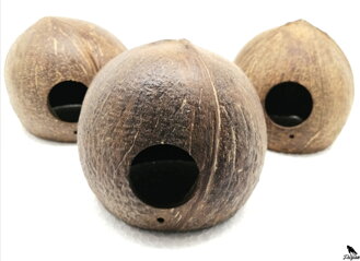 KOKOS 3/4 s dierkou
