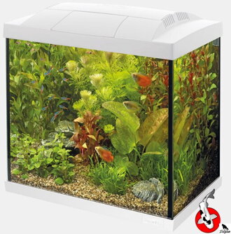 SUPERFISH START 30 TROPICKÁ SÚPRAVA BIELA